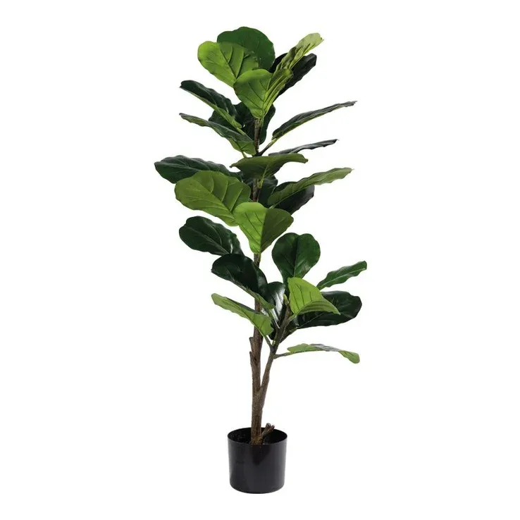 Violinfigen i potte, 107cm, kunstig plante – Brøndsholm
